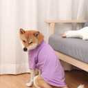 Dog Shirts 2pcs Blank Shirts Soft for Small Medium Large Dogs and Cat Soft and Breathable Apparel Shirts (XL-(16.1~23lb) | Chest(~22.04"), Grey & Purple)