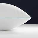 2 Pillow Protectors, Zippered Hypoallergenic Down Proof Pillow Covers, 600 Thread-Count - 100 % Cotton Pillows Protector, White, Standard / Queen Size