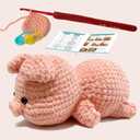 JueRum Pig Beginner Crochet Kits for Adult,Amigurumi Crochet Kit with Step-by-Step Video Tutorials, Learn to Crochet Pig Animals Knitting Kit for Adult