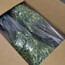 Yinleus 3FT Artificial Boxwood Topiary Tree Fake Topiary Potted Plants for Home Office Garden Indoor Outdoor Decoration 35INCH(2PACK)