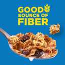 Kellogg's Raisin Bran Crunch Breakfast Cereal, Good Source of Fiber, Giant Size, 24.5 oz (EXP 02/07/27)