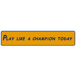 Vintage Poster Metal Sign Play Like a Champion Today Antique Metal Tin Sign Bar Home Bathroom Pool Outdoor Plaque Wall Decor Vintage Yard Sign Gift 4x16 Inch, 4 inches by 16 inches