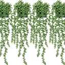 4 Pcs Artificial String of Pearls Plant in Black Pots Faux Realistic Succulents Fake Wall Hanging Planter Indoor for Greenery Shelf Desk Home Batchroom Farmhouse Garden Decorations