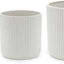 Amazon Basics Fluted Ceramic Planters for Indoor Outdoor Plants, Round Flower Pots with Drainage Hole, Set of 3, 6 inch, 8 inch, 10 inch, White