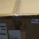 Hi-Line Gift Bear Reading A Book