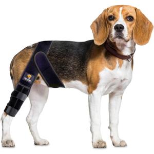 Dog Knee Brace for Torn ACL Hind Leg - Adjustable Dog Leg Brace for Back Leg and Front Leg Support, Knee Brace for Dogs, Promotes Stability and Recovery, Extra Small (XS)