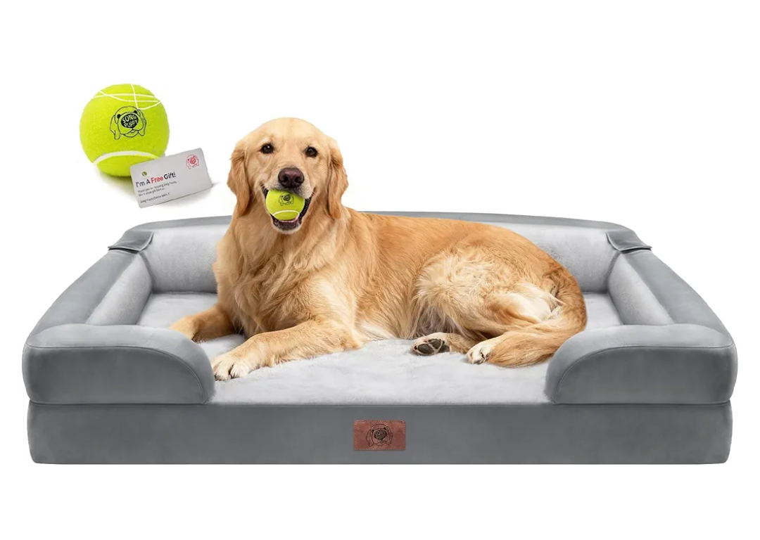 Extra Large Dog Bed, Orthopedic XL Washable Memory Foam Bed for Big Dogs Waterproof Pet Couch Sofa Bolster with Removable Cover, Non-Slip Bottom, Tennis Ball Toy, 42x30