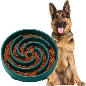 JASGOOD Slow Feeder Dogs Bowl for Large Medium Dogs,Anti-Gulping Pet Slower Food Feeding Bowls Stop Bloat,Preventing Choking (N-Dark Green)