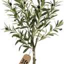 3FT Spherical Fake Olive Tree Artificial Indoor,Faux Olive Tree with Pot,Large Olive Branches and Lifelike Fruits,for Home Office House Living Room Decor.