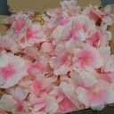 Artificial Cherry Blossom Lights190 LED 5.5ft x 6.2ft Warm White Curtain String Lights with Remote and Timer, 8 Modes, USB Powered for Room Wall Party Xmas Decor