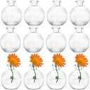 SOUJOY Set of 12 Small Glass Ball Bud Vase, Unique Mini Low Sitting Flower Vase, Clear Floral Centerpieces for Home Decor, Weddings, Floral Arrangements, Events, Parties