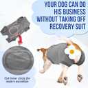 Lukovee Recovery Suit for Dogs, Onesie Surgery Recovery Suit for Female Male Dogs, Abdominal Wounds Cone E-Collar Alternative Prevent Licking Spay Recovery Suit (GY,XL)