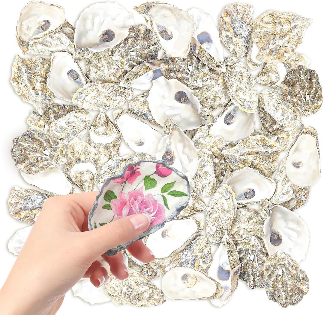 YOUKE OLA 50PCS Oyster Shells 3"-4" Oyster Shells Bulk Oyster Shells for Home Decor Vase Filler, Ornaments, DIY Arts and Crafts Sea Shells, Deeper Shells