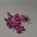 pink roses 24ct