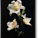 Bathroom Wall Art Prints Canvas Art Wall Decor Framed Vintage Wall Art Decor Pictures for Bathroom 8x10 Inchs Black and White Flowers Wall Art Decorations Botanical Hallway Over Bed Wall Art Decor (HD02)