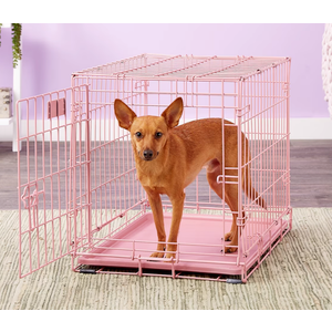 MidWest Homes for Pets 24-Inch Pink Fashion iCrate for Small Breeds, 12-20 lbs, Single Door Folding Dog Crate with Divider Panel, Leak-Proof Tray & Secure Latch, Portable, Durable & Easy to Assemble