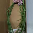 IPOPU Purple Carnations Artificial Flowers,6PCS Real Touch Faux Flowers 20'' Artificial Silk Carnations with Stems for Wedding Bouquet Party Table Centerpieces Home Decor (Purple)