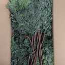 18" Real Touch Cedar Branches -24 Pcs, Artificial Christmas Cedar Branch Realistic Fake Pine Picks Faux Greenery Plants Stem for Vase DIY Crafts Garland Wreath Indoor Outdoor Home Decor