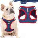 PUPTECK Dog Harness and Leash Set for Small Medium Dogs No Pull Step-in Soft Mesh Puppy Cat Vest Harnesses Reflective at Night, Denim NavyBlue L (L(CHEST 18"-20", 16.5-22 lbs))