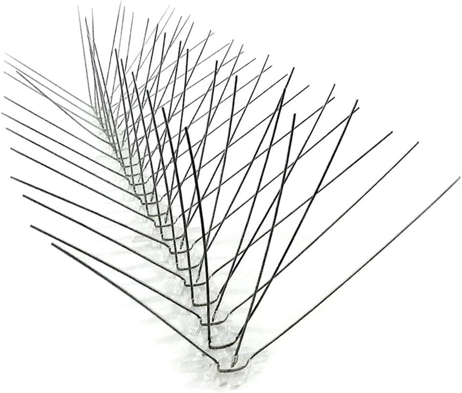 Bird-X Stainless Steel Bird Spikes, 6-inch Regular Wide Spikes, Bird Spikes for Pigeons and Other Small Birds, Easy to Install, Contains 2 ft. Strips, Cover 100 Linear Feet Area