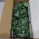 Reptile Hide Caves Simulation Tree Hideout, Hideout Shelter Sleep Cave is Decorated for Arboreal Reptile, Snake, Leopard Gecko, Lizard, Salamander, Hermit Crab Aquarium