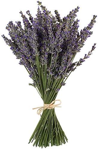 TooGet Natural Lavender Bundles, Freshly Harvested 200+ Stems Dried Lavender Bunch 16" - 18" Long, Decorative Flowers Bouquet for Home Decor, Crafts, Gift, Wedding or Any Occasion