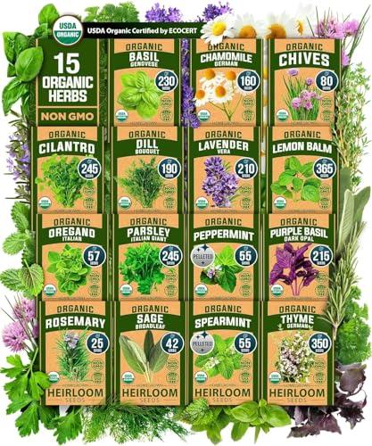 HOME GROWN Organic Herb Seeds Variety Pack - Non GMO, Heirloom 2,500+ High-Germinating Heirloom Seeds for Planting Indoor Outdoor Spring Herb Garden Hydroponics Garden Seeds, Basil Cilantro & More