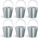 Colorlaza Small Metal Buckets with Handle 6 Pcs Galvanized Bucket Leak Proof & Rust Resistant 20 fl oz Capacity - Best for Party Dcor, Organizing & Decorating Classrooms (Silver, Small 4.3" Top)