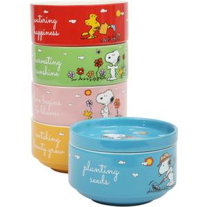 Peanuts Snoopy 6-Piece Stackable 5.5-Inch Decorated Stoneware Bowl Set With Matching Plate, Microwave & Dishwasher Safe, Collectible Kitchen Dinnerware
