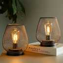 TRIROCKS Set of 2 Medium Battery Powered Outdoor Lantern 6.5'' High Metal Table Lamp Cordless Battery Operated Lamps with LED Edison Bulb for Home Wedding Parties Patio Events Indoors Outdoors(Brown)