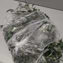 Olive Wreath 21" Green Traditional Plastic