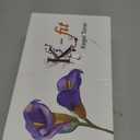 K-fit Kegel Toner for Women