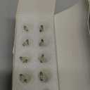 Diximus 12 Volt 7 Watt Low Voltage T5 Landscape Bulb - Pack 10 - Landscape Light Bulbs - Low Voltage Landscape Light Bulbs (Clear, 10)