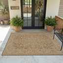 MontVoo-Polypropylene 3x5 ft Indoor Outdoor Entryway Rug Porch Rug Door Mats Rugs Small Accent, Textured Weave, Durable for High Traffic, Fade-Resistant, Non-Shedding, Vintage Medallion Neutral Brown