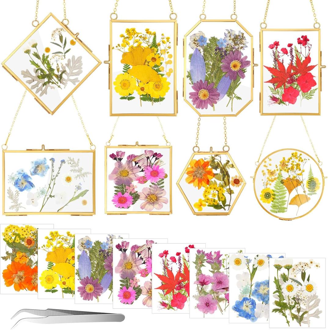 Barydat 8 Set Glass Pressed Flower Frames 8 Different Shapes Hanging Photo Picture Frame Gift with 8 Bag Dried Flowers Chains for Artwork Frame Home Wall Decor Plant Specimen Photo Display(Brass)