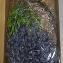 Giegxin 12 Pack Artificial Blue Berry Stems Fake Blueberries Picks, Artificial Flowers Decorative Stickers, Faux Blueberry Accessories for Party Wedding Decoration Home (13.7 Inch)