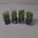 summer flower Set of 4 Fake Plants in Pot Small Artificial Eucalyptus Potted Plant Mini Wheat Grass Ferns Faux Greenery for Home Indoor Office Table Bathroom Farmhouse Decorations Blue