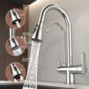 Kitchen Sink Faucet with Pull - Down Sprayer, 2 - Handle 3 - in - 1 Kitchen Sink Filter Faucet, Cold and Hot Mixer Drinking Water Faucet (3-in-1 Filter Faucet, Chrome)