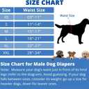 Paw Legend Washable Dogs Diapers Male Dog Belly Bands for Male Dogs Diapers Reusable Puppy & Doggie Diapers Male (3 Pack, Large)