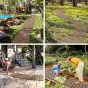 Amazer Wooden Garden Pathway, 24.5FT Roll Out Straight Walkway, Widened Plank Non-Slip Outdoor Walkway Path with Stakes, Garden Lawn Pavers for Outside Walkway Backyard Wedding Party Boardwalk, Brown