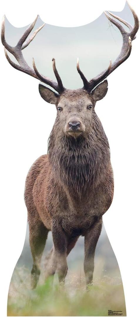 Cardboard People Deer Life Size Cardboard Cutout Standup, One Size
