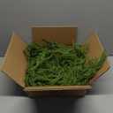 XmasExp Norfolk Pine Garland 9FT Real Touch Realistic Artificial Christmas Garland Decorations for Mantle Windows Indoor Outdoor