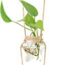 XXXFLOWER Wall Hanging Propagation Station3 Tired Star Shaped Glass Flower Vase for Hydroponic Planter Terrarium for Plant Cutting Home Office Living Room Garden Decor