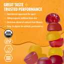 Honey Stinger Organic Caffeinated Energy Chew Variety Pack, 6 Packs Each of Cherry Cola & Stingerita Lime, Gluten Free, for Exercise, Endurance & Performance, Sports Nutrition for Home & Gym (EXP 02/14/27)