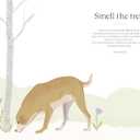 Sit, Stay, Grow: How Dogs Can Help You Worry Less and Walk Into a Better Future