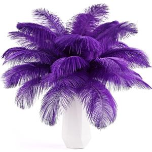 THARAHT 24pcs Purple Ostrich Feathers Natural Bulk 10-12Inch 25cm-30cm for Wedding Party Centerpieces Easter Gatsby and Home Decorate Ostrich Feather