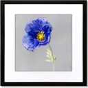 VNVNK 24x24 Frame Black, Perfect for 24x24 Inch Picture without Mat or 20x20 Inch Picture with Mat, Home Wall Decor Picture Frame-1 PCS