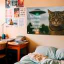 3x5 Feet Funny Cat Flag with Quote ''Not Now, Human. I'm Busy Saving The Planet.''- Animal Cool Poster Polyester On The Wall with Four Brass Grommets - Single Sided Kitten Banner for Decoration Rooms