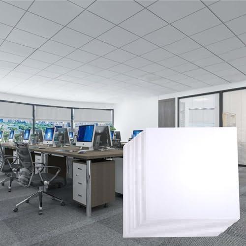 Trimold White Smooth Drop Ceiling Tiles, Easy Drop-in Installation PVC Panels, Waterproof, Reusable & Fire-Rated, No Sag and Breakage, 12-Pack of 2ft x 2ft Cover 48 Sq.Ft
