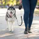 PetiFine Retractable Dog Leash,30 FT Heavy Duty Dog Walking Leash for Medium Large Dogs up to 110 lbs, Upgraded No Tangle Long Retractable Dog Lead
